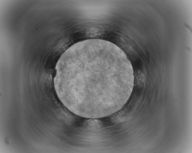 X0000096690427200803041304