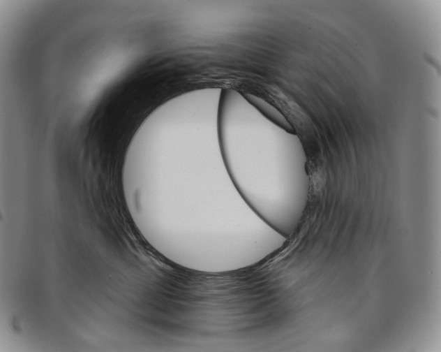 X0000096690429200803041304