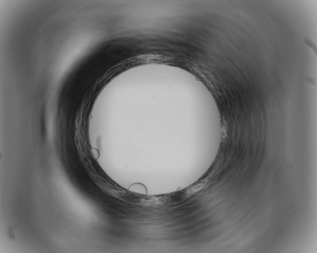 X0000096690430200803041304