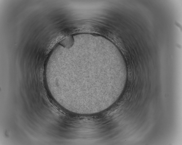 X0000096690434200803041304