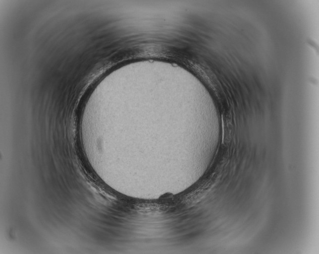 X0000096690435200803041304