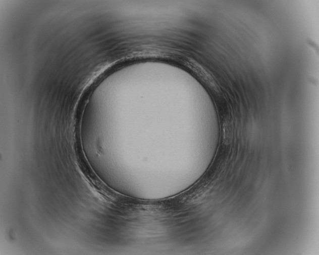 X0000096690436200803041304