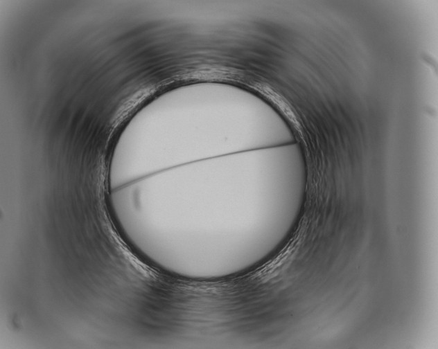 X0000096690437200803041304