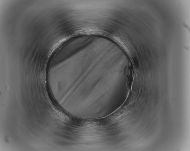 X0000096690438200803041304