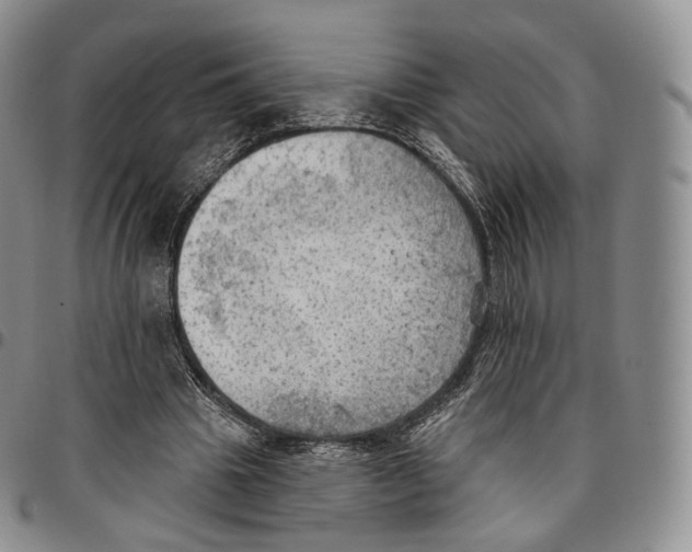 X0000096690441200803041304