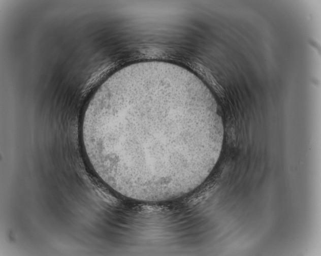 X0000096690442200803041304