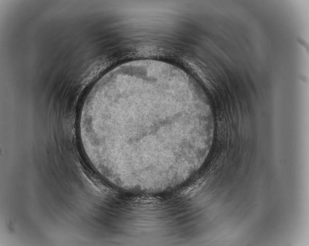 X0000096690443200803041304