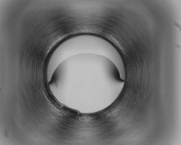 X0000096690444200803041304