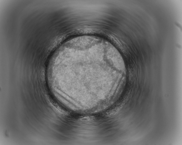 X0000096690447200803041304