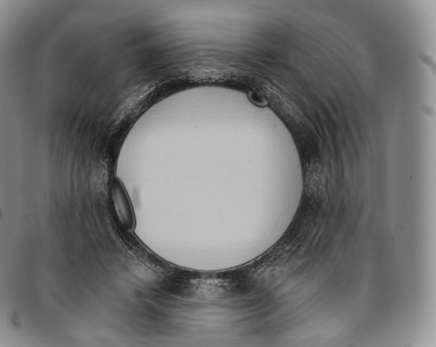 X0000096690448200803041304