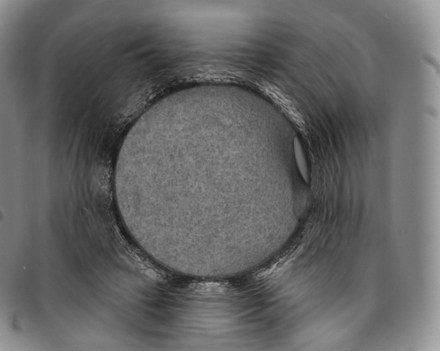 X0000096690449200803041304