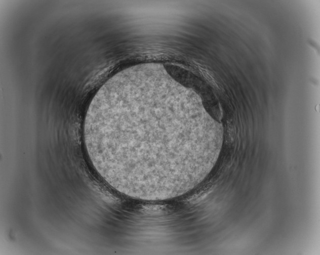 X0000096690450200803041304