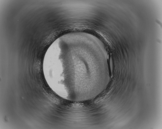 X0000096690451200803041304