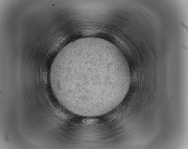 X0000096690452200803041304