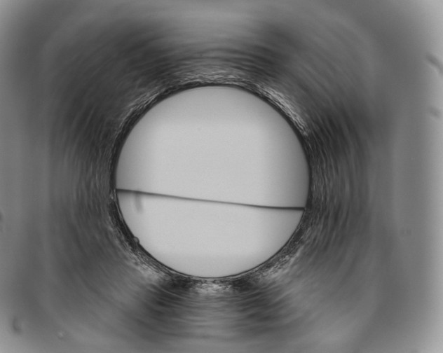 X0000096690453200803041304