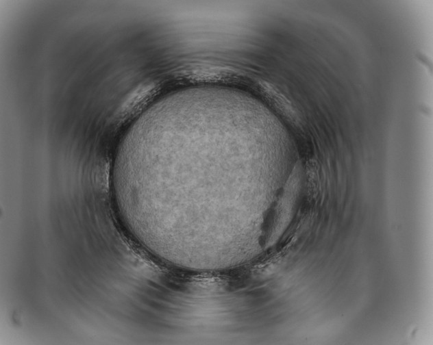 X0000096690454200803041304