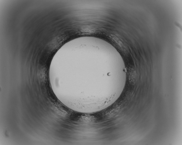 X0000096690455200803041304