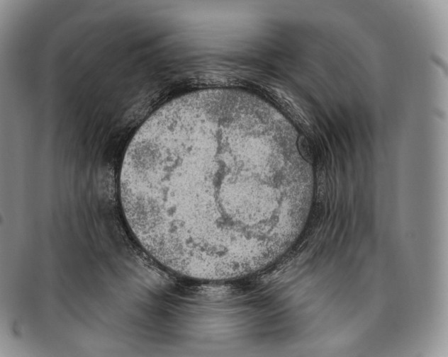 X0000096690457200803041304