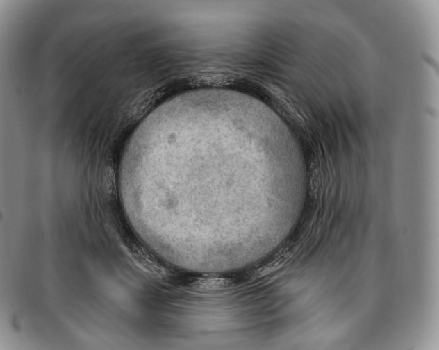 X0000096690459200803041304