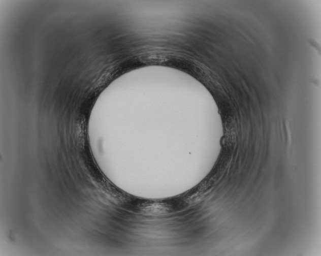 X0000096690460200803041304