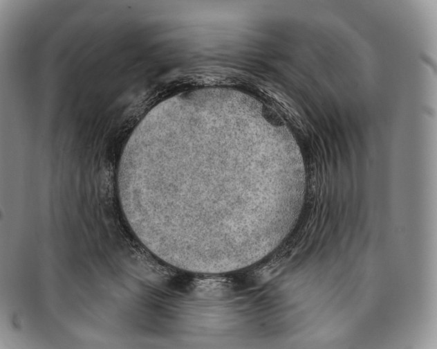 X0000096690461200803041304