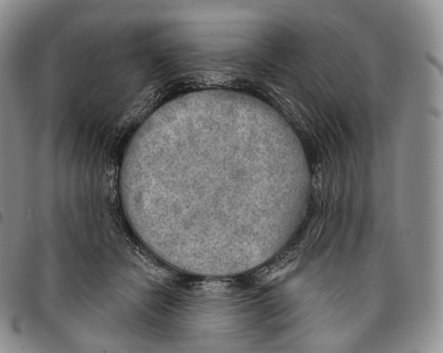 X0000096690462200803041304