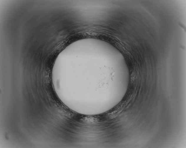 X0000096690464200803041304