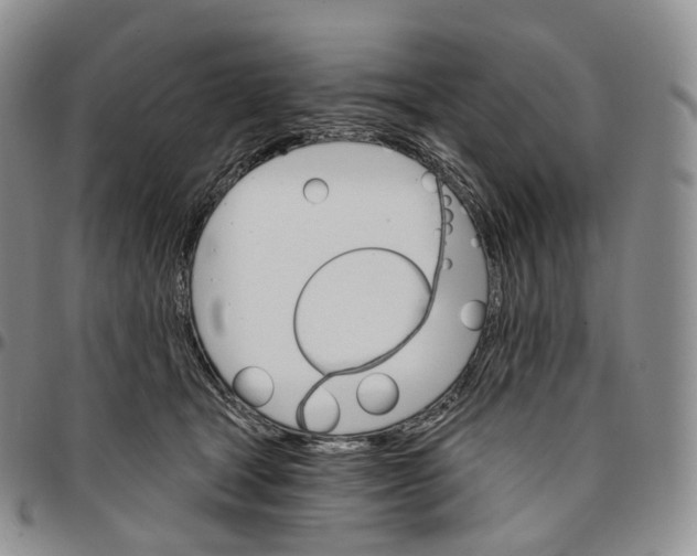 X0000096690465200803041304