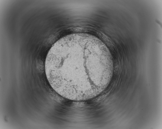 X0000096690469200803041304