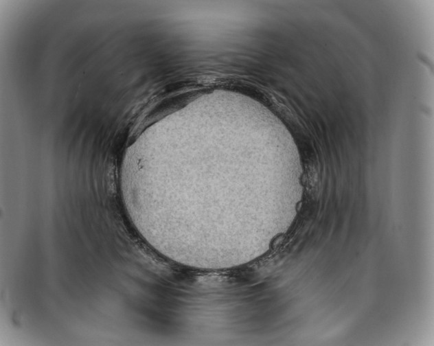 X0000096690470200803041304