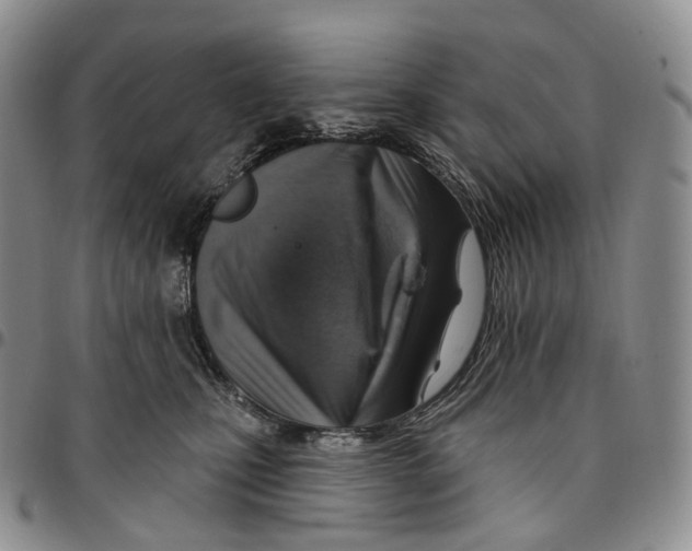 X0000096690471200803041304