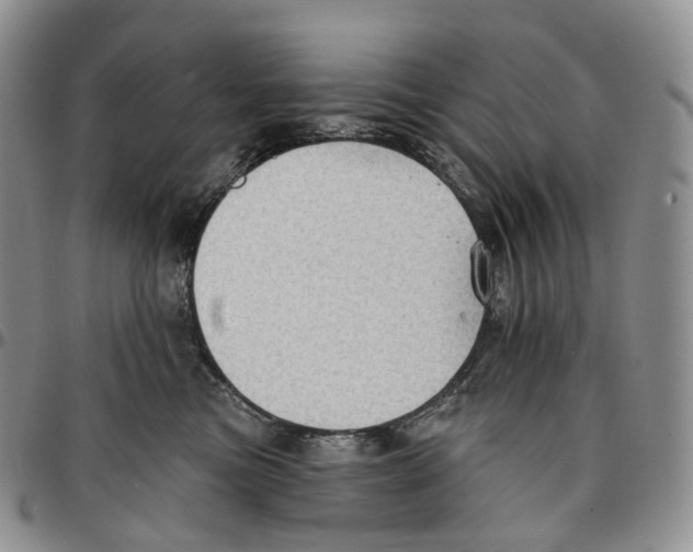 X0000096690473200803041304