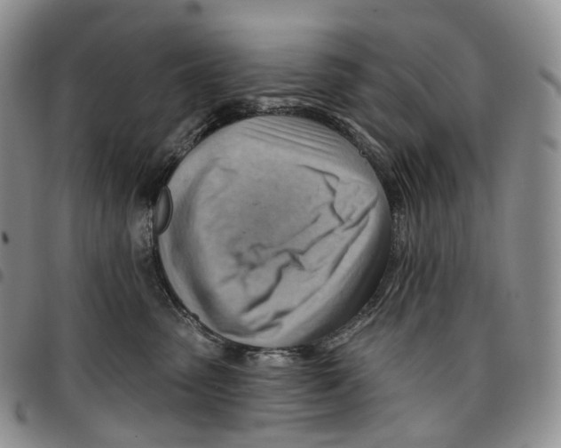 X0000096690475200803041304