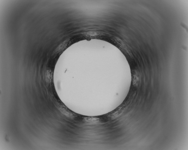 X0000096690476200803041304