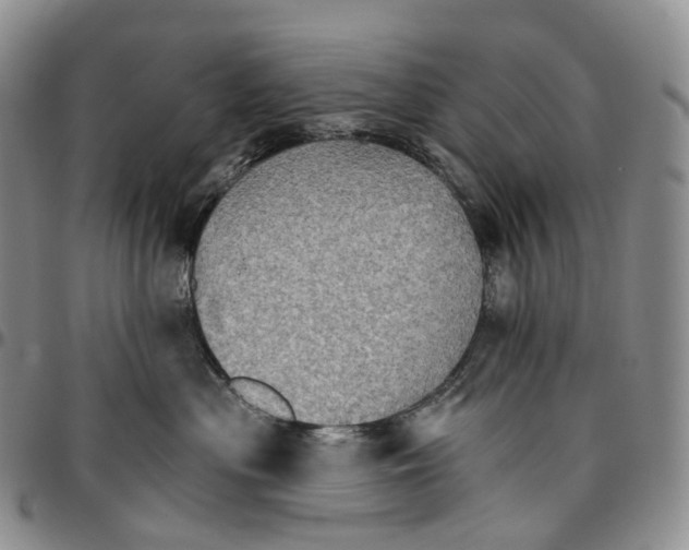 X0000096690477200803041304