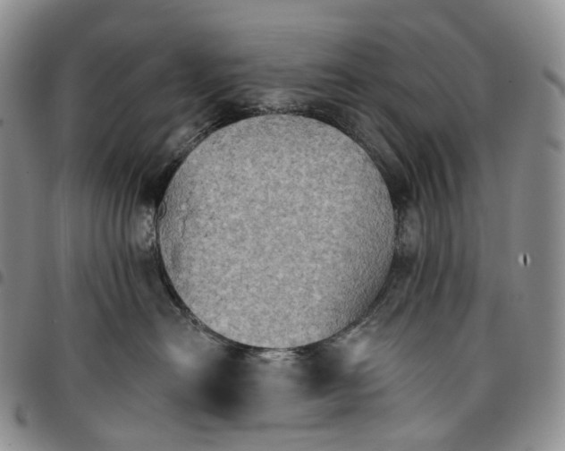 X0000096690478200803041304