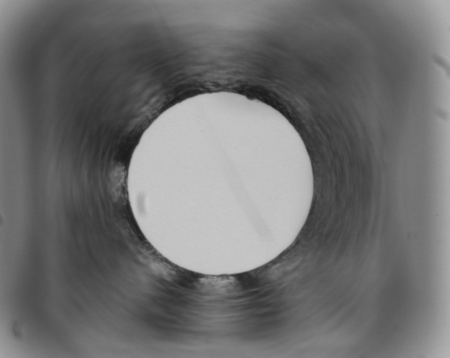 X0000096690480200803041304