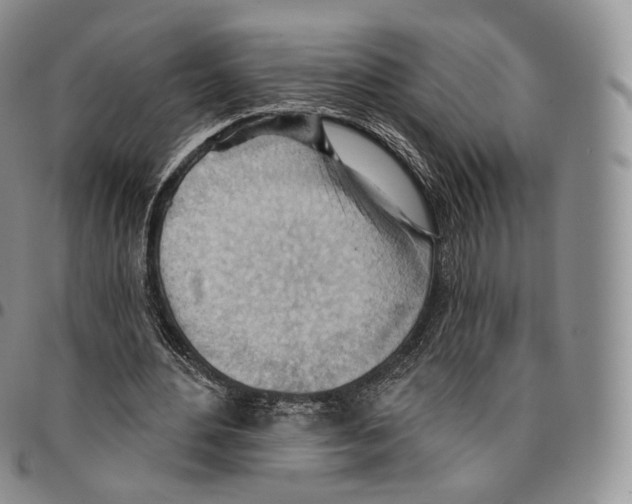 X0000096690484200803041303