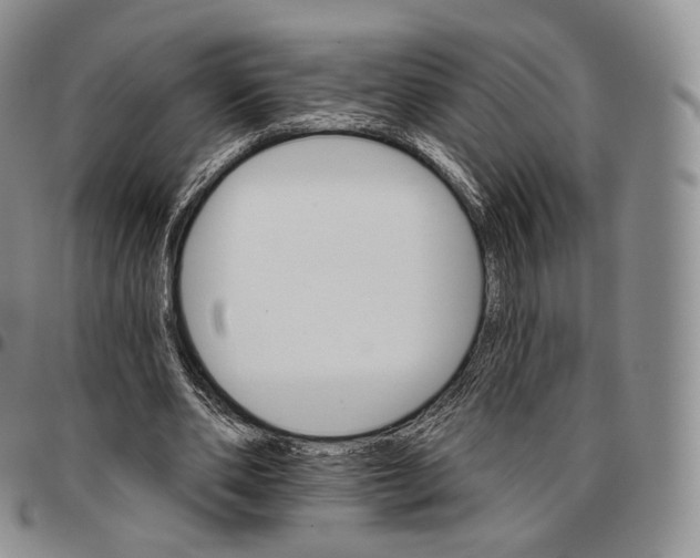 X0000096690486200803041303