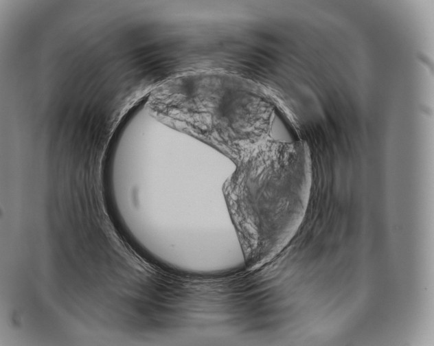 X0000096690487200803041303