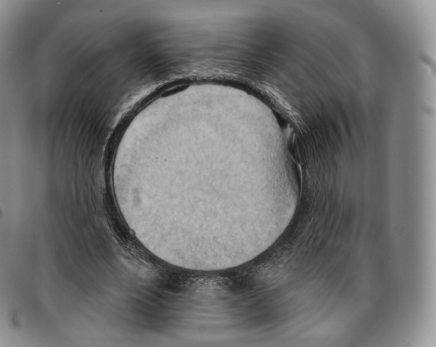 X0000096690488200803041303