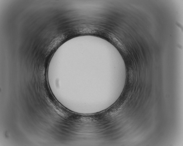 X0000096690490200803041303