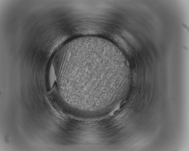 X0000096690491200803041303