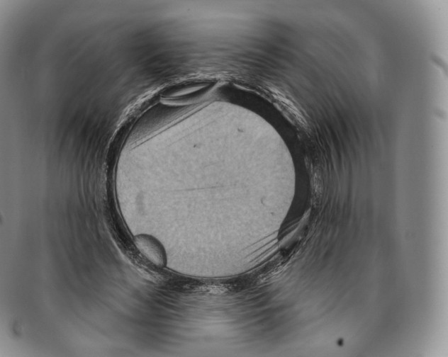 X0000096690492200803041303