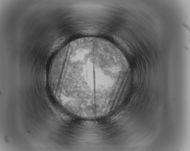 X0000096690494200803041303