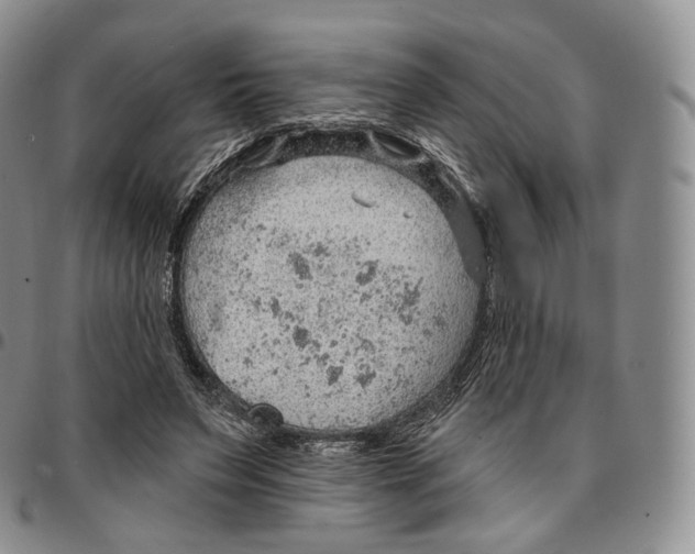 X0000096690495200803041303