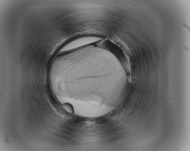 X0000096690496200803041303