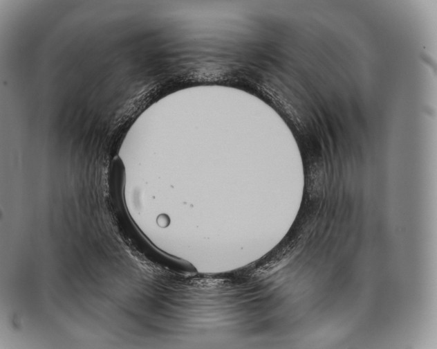 X0000096690497200803041303