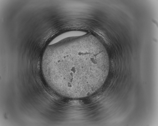 X0000096690499200803041303