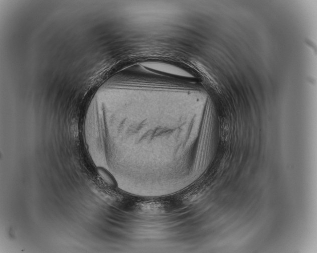 X0000096690500200803041303